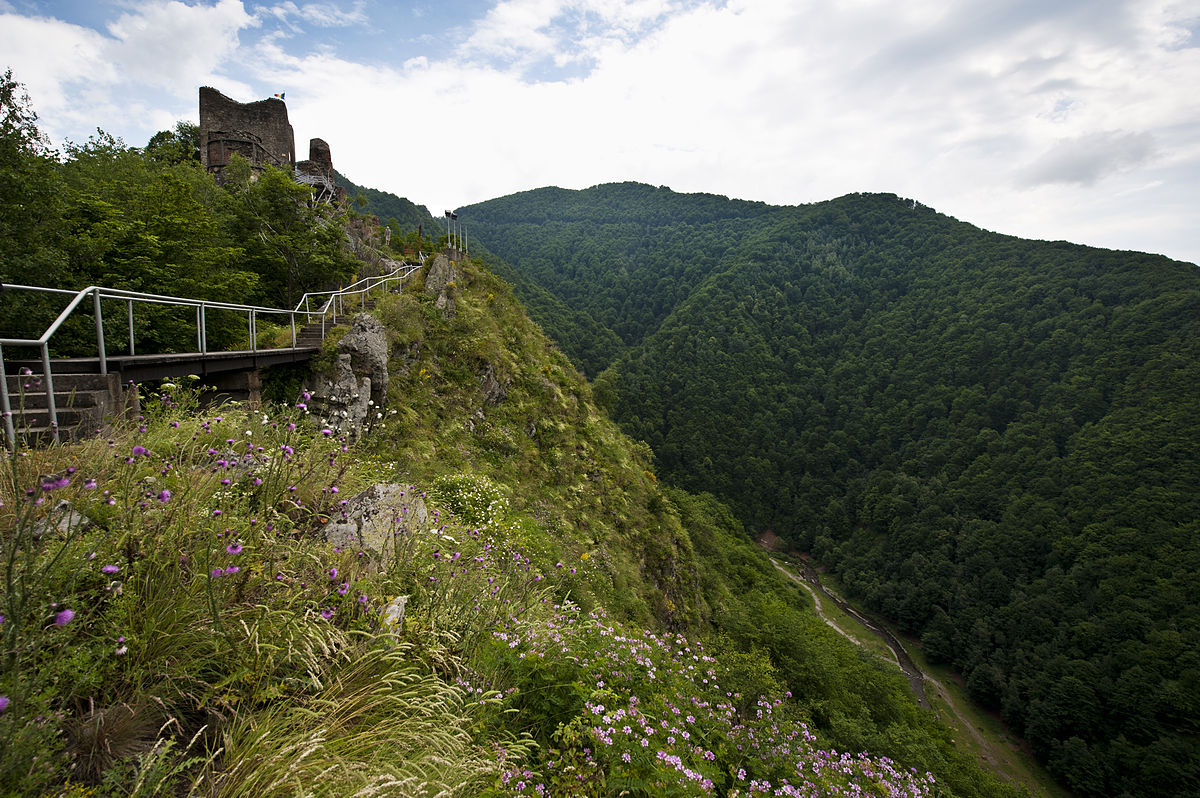 Cetatea_Poenari_1.jpg